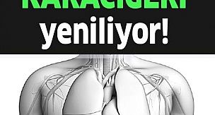 1 Yudumu Karaciğeri Yeniliyor