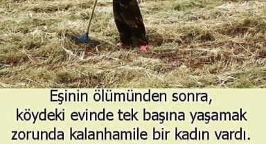 Eşinin ölümünden sonra, köydeki evinde tek başına yaşamak zorunda kalan bir hamile kadın vardı.