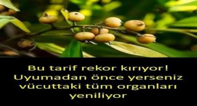 Vücuttaki tüm organları yeniliyor..