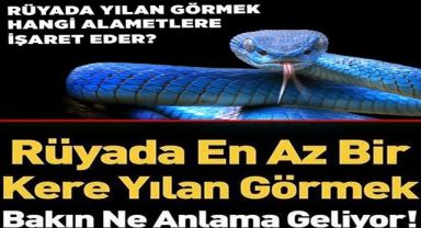 Rüyada Yılan Görmek Neye Yorumlanır?