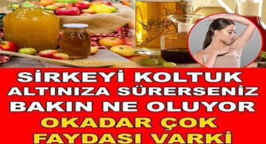 Sirkeyi koltuk altına sürünce bilinmeyen bir sır.rı ortaya çıkıyor…