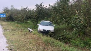 Yoldan çıkan otomobil fındık bahçesine uçtu