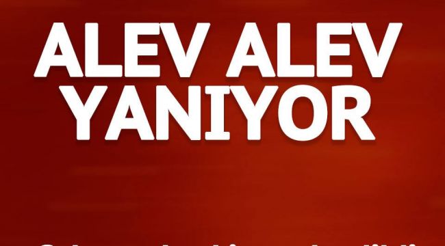 Orman alev aldı... Çevre illerden destek geldi...
