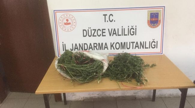 Jandarmadan uyuşturucu operasyonu