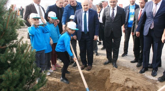 61 Noktada 40 Bin Fidan Dikildi