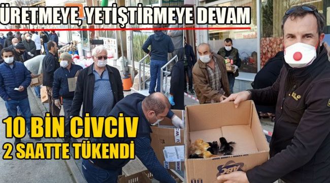 Çiftçilere Civciv Desteği