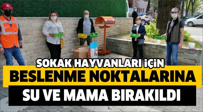 Sokak Hayvanlarına Mama Ve Su Dağıtımı Sürüyor