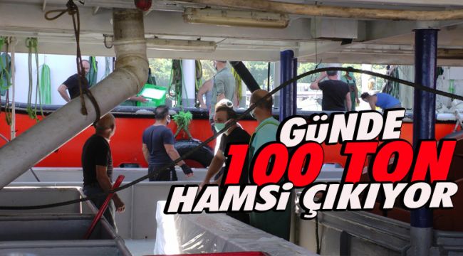 Tonlarca Hamsi çıktı
