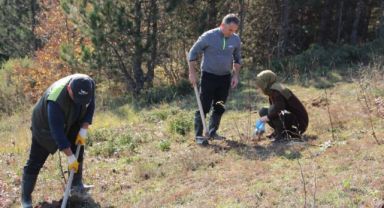 Yaban hayvanları için 175 fidan dikildi